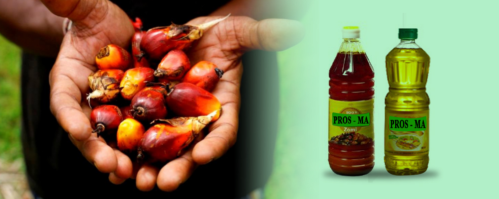 Huile de palme rouge et rafinée img02